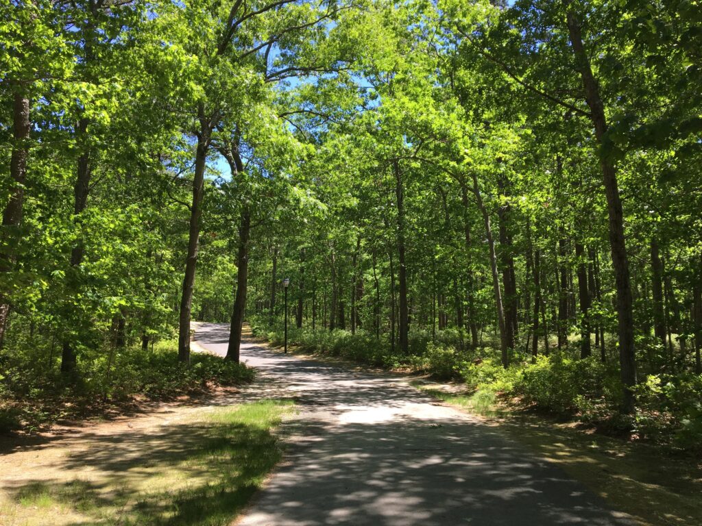 Bicycle Path