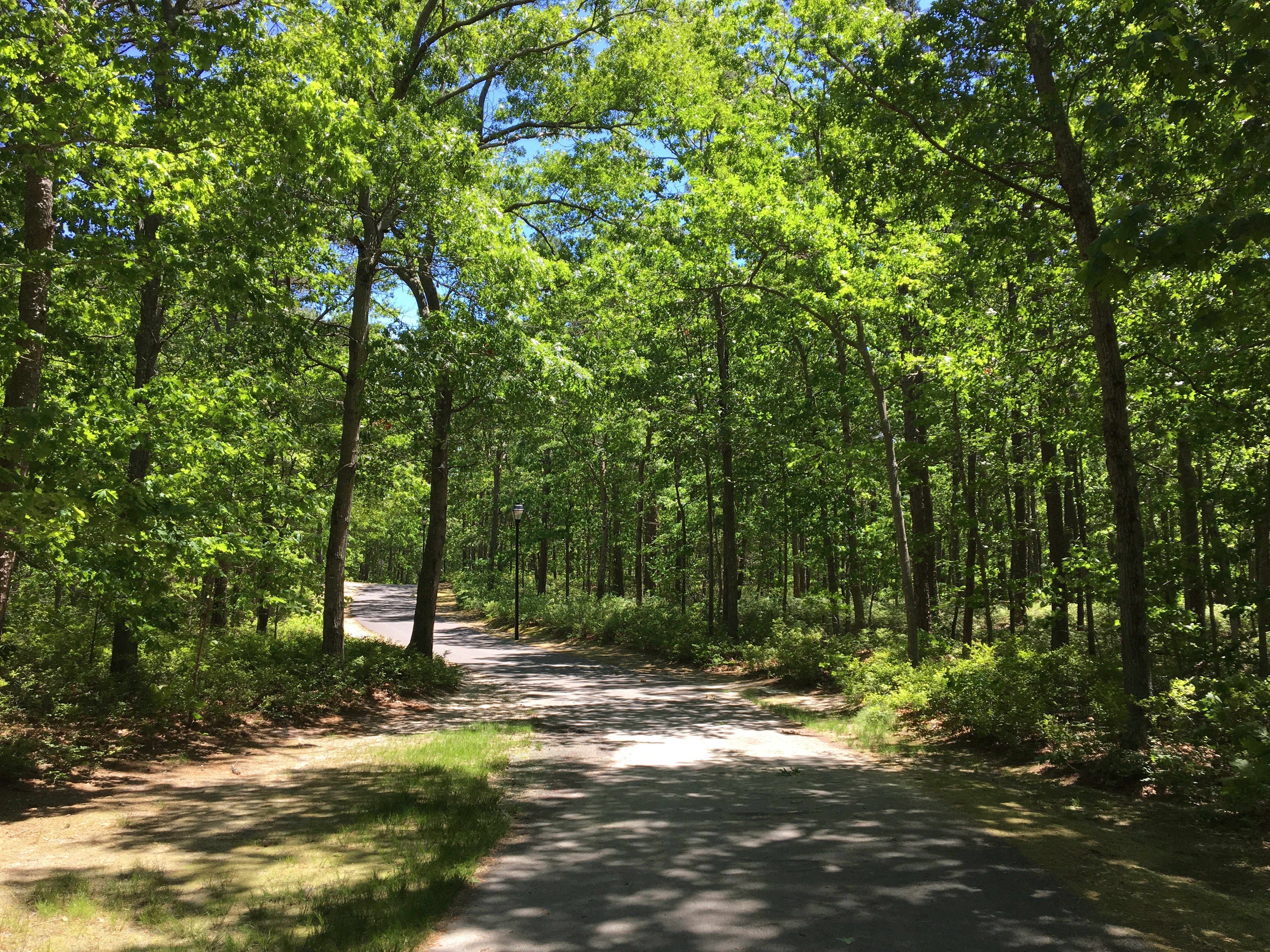 pitney park bike path